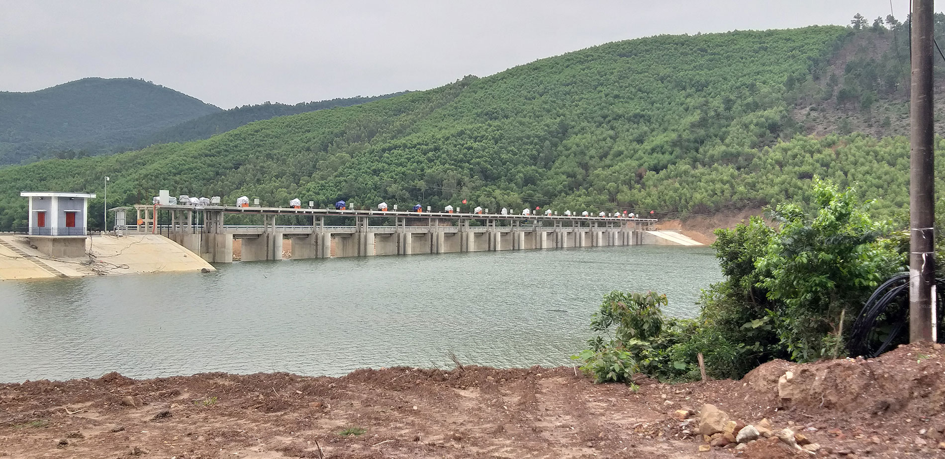 Ngành nghề kinh doanh